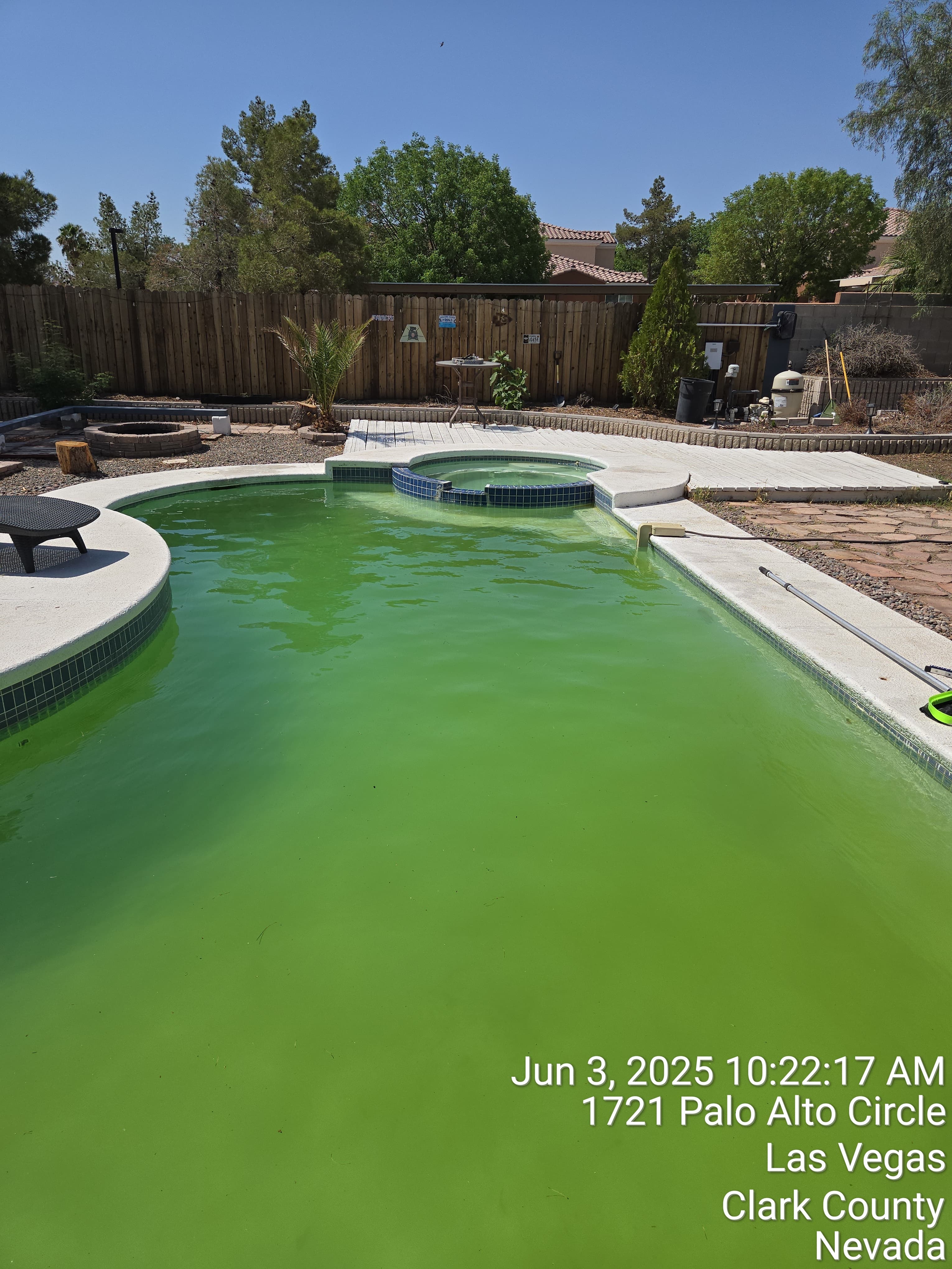 Pool before treatment Las Vegas