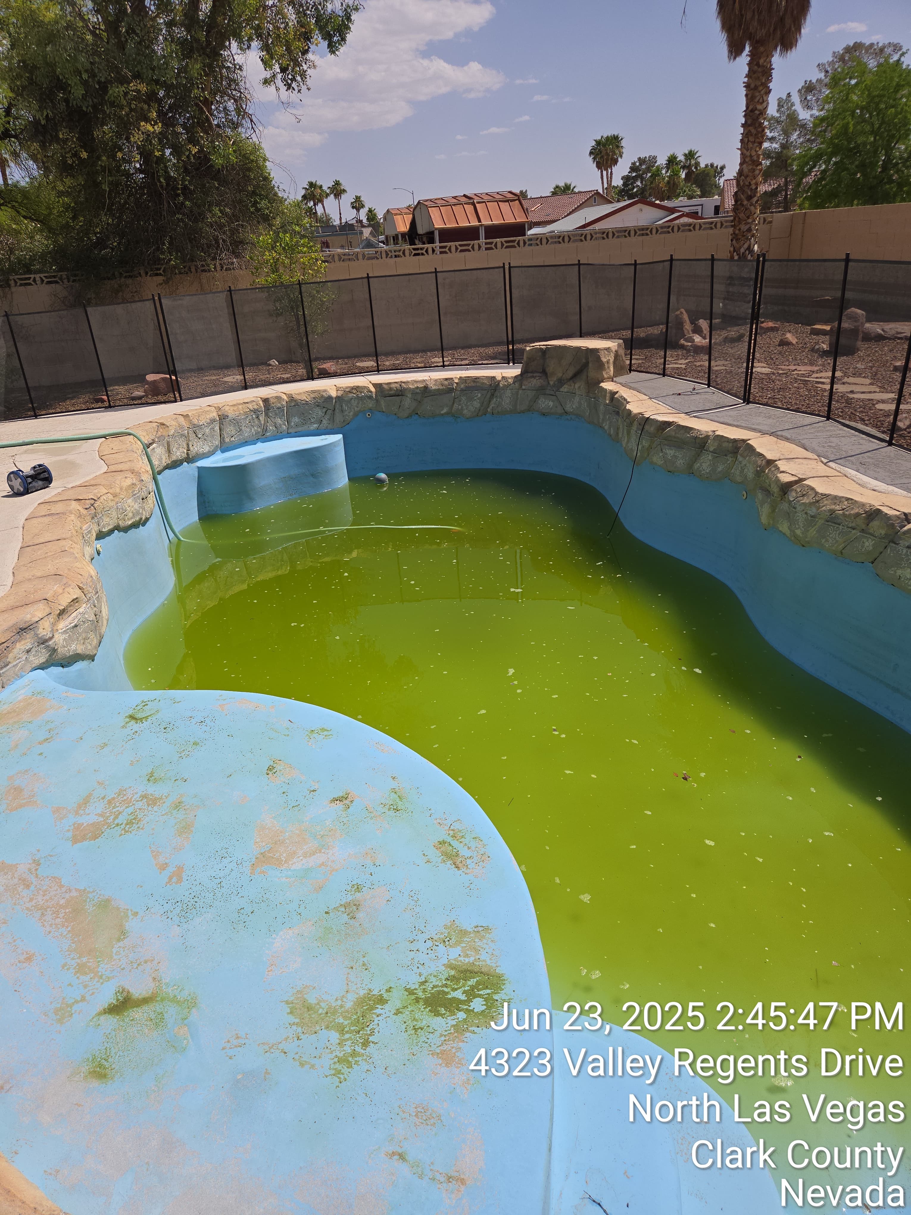 Pool before treatment Las Vegas