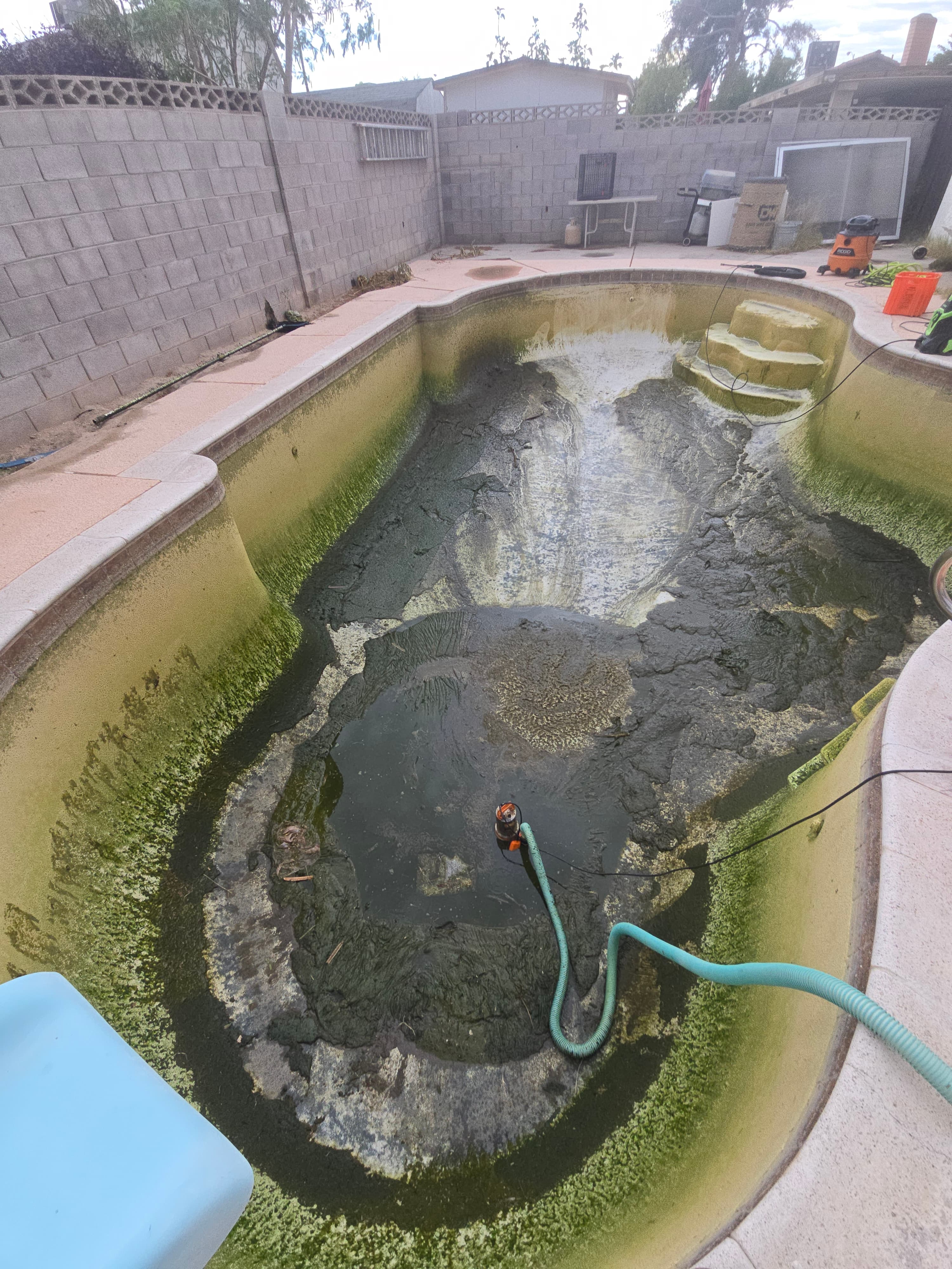 Pool before treatment Las Vegas