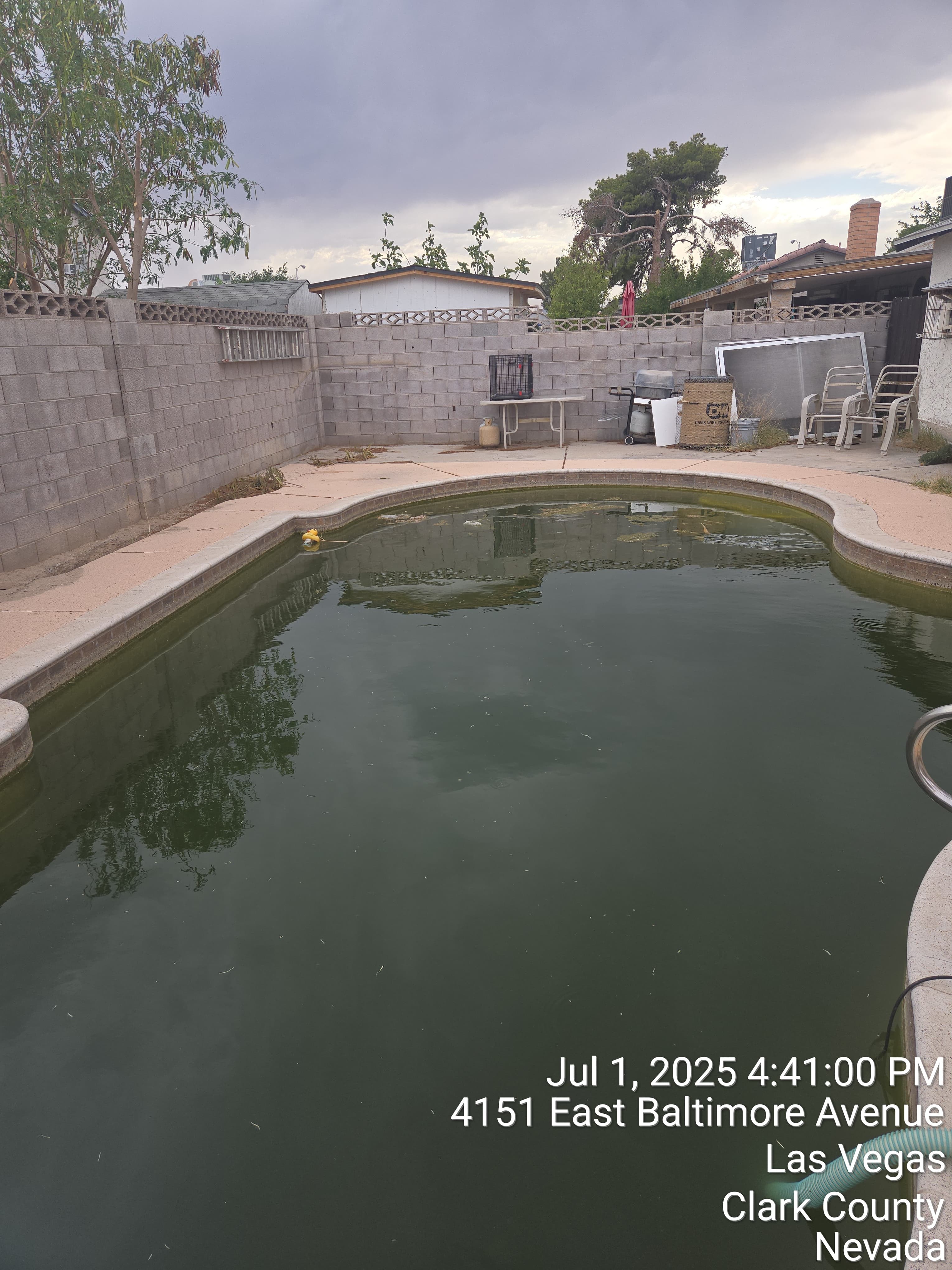 Pool before treatment Las Vegas