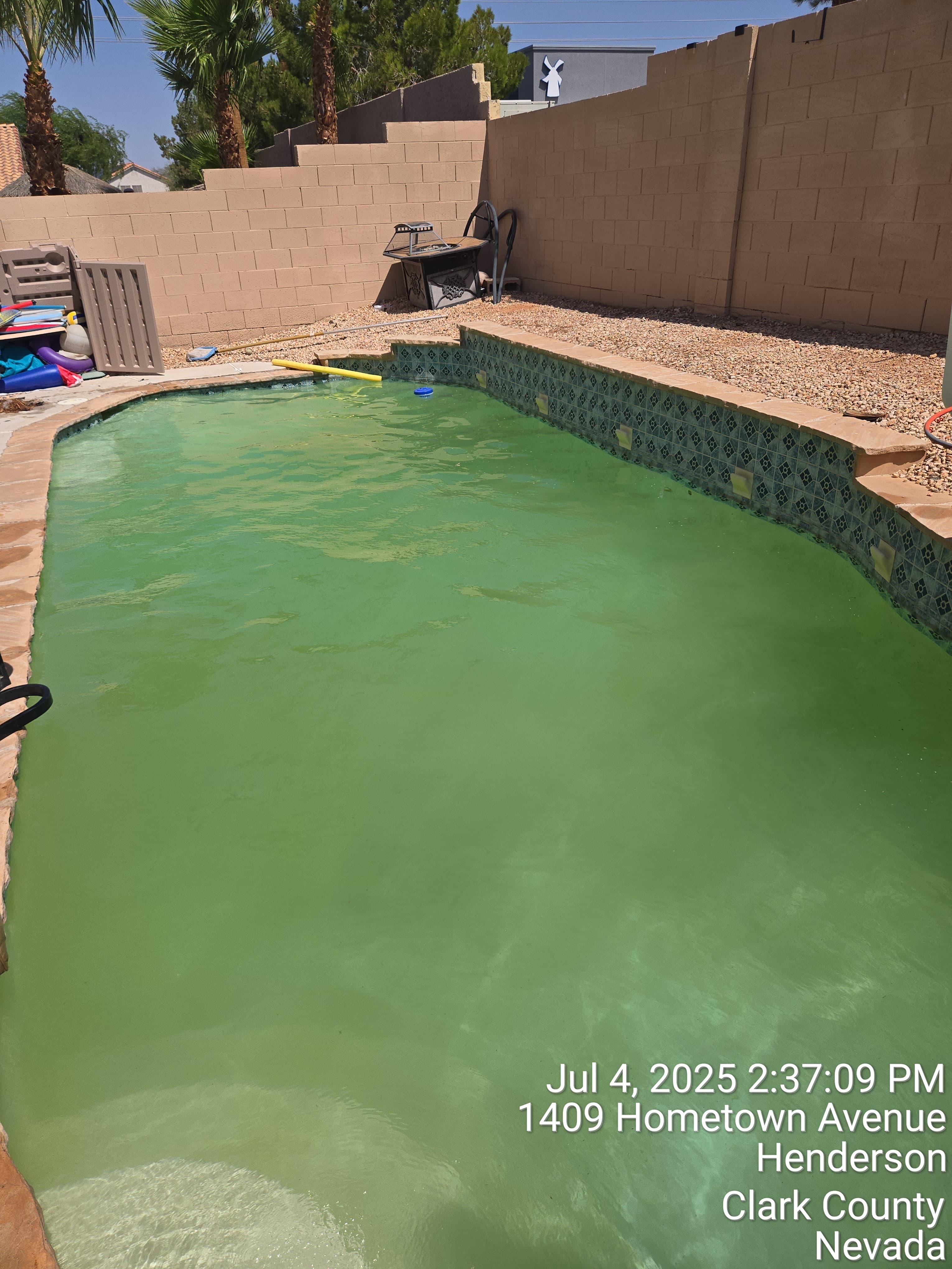 Pool before treatment Las Vegas