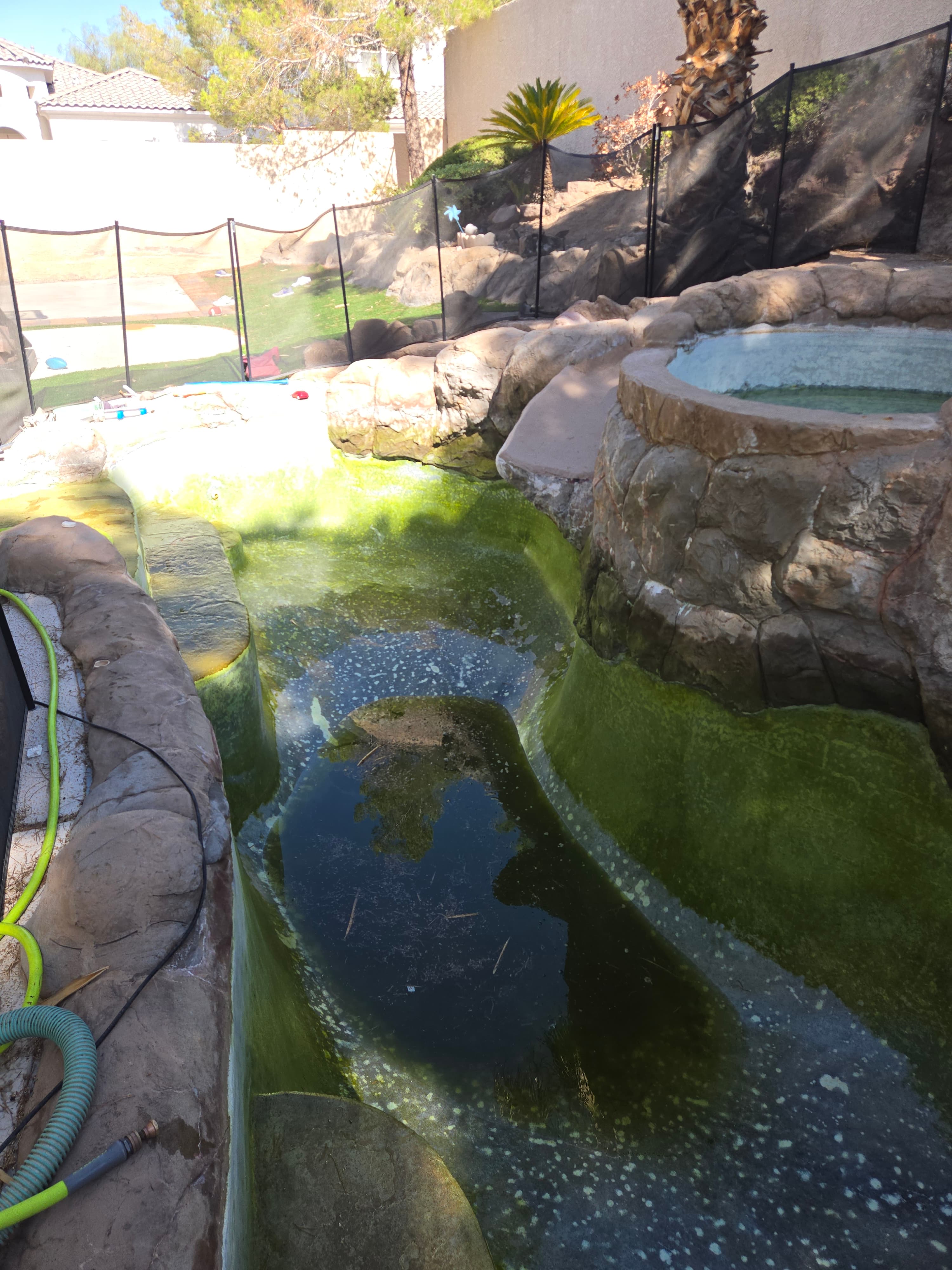 Pool before treatment Las Vegas